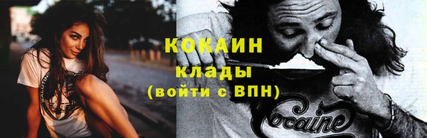 крисы Новозыбков