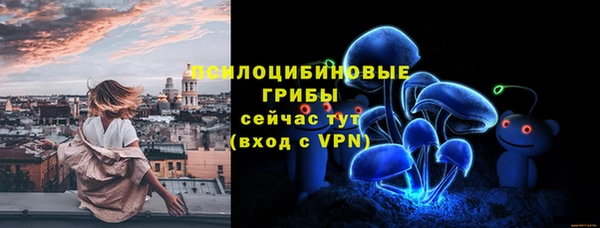 гашик Новодвинск