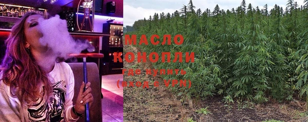 гашик Новодвинск