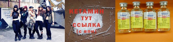 крисы Новозыбков