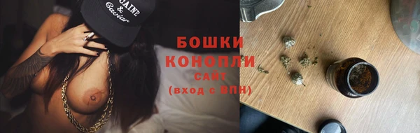 гашик Новодвинск