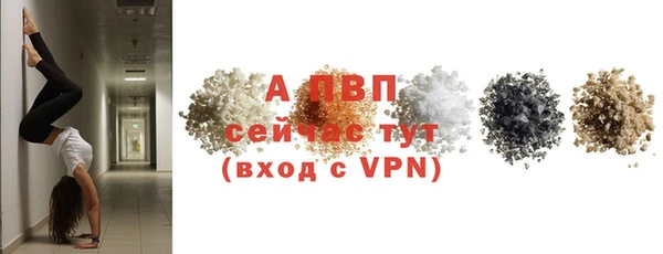 крисы Новозыбков