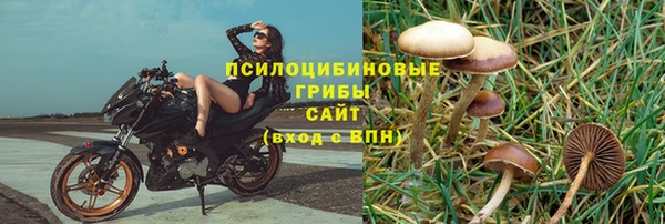 PSILOCYBIN Дмитров