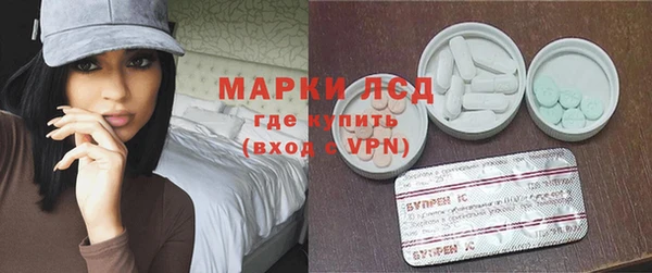 крисы Новозыбков