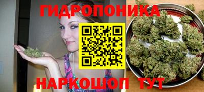 хмурый Донской