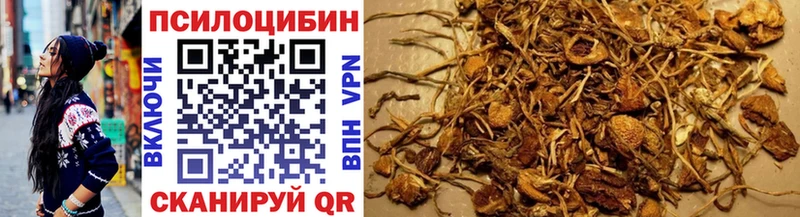blacksprut ТОР  дарнет шоп  Кохма  Галлюциногенные грибы MAGIC MUSHROOMS 