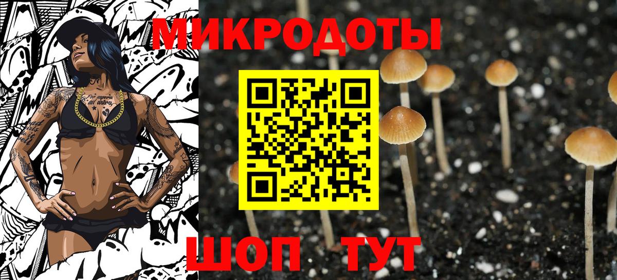 Галлюциногенные грибы Cubensis  Вход с VPN  Кохма 